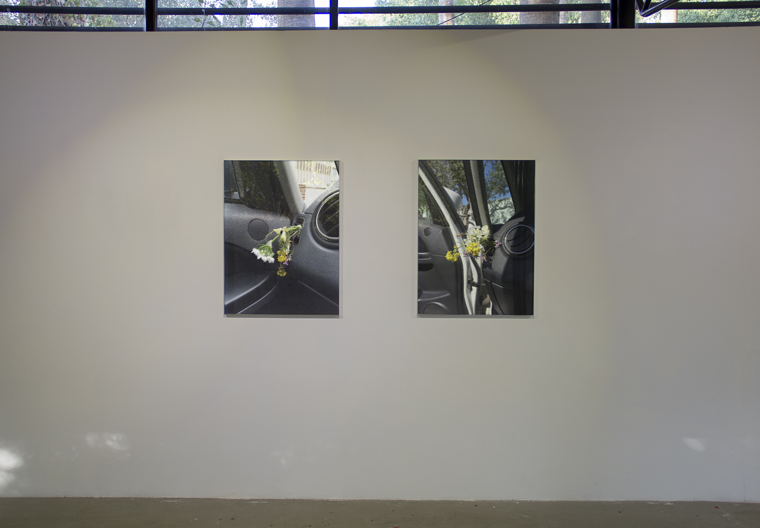 Flowers from Theseas